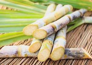 100% scatola di imballaggio monouso biodegradabile per Computer Tablet produzione di materie prime-carta di pasta di pasta di bagassa di canna da zucchero sbiancata - Product Image 5