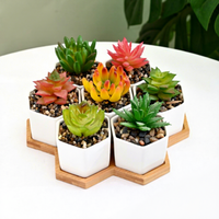 Set Pot Tanaman Sukulen Porselen Putih Gaya Nordik Desain Geometris Kreatif Wadah Tanaman Mini Heksagonal