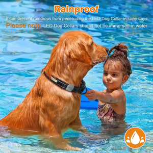 <span class=keywords><strong>Collar</strong></span> de perro <span class=keywords><strong>Led</strong></span> de varios colores controlado por aplicación, <span class=keywords><strong>Collar</strong></span> de perro impermeable recargable por USB, luz para seguridad nocturna, <span class=keywords><strong>Collar</strong></span> <span class=keywords><strong>Led</strong></span> para mascotas - Product Image 3