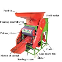 Machine à éplucher les arachides à haute capacité petit décortiqueur d'arachides automatique à vendre