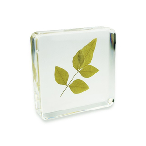 Prensapapeles de Resina con Flores Botánicas, Moldes de Resina para Plantas y Flores, Resina de Silicona y PVC en Venta - Product Image 4