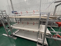 Nouveau système automatique de cages en acier pour poules pondeuses, équipement d'élevage avicole avec système d'alimentation et d'abreuvement