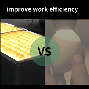 <span class=keywords><strong>Machine</strong></span> de test portable pour œufs 88 œufs, testeur d'œufs, candélabre, grande capacité, incubateur d'œufs pour le test - Product Image 3