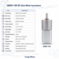 Moteur à engrenages à aimant permanent CC miniature GM20-130 20 mm certifié CE RoHS, OEM/ODM, haute efficacité, pour ventilateur de maison intelligente
