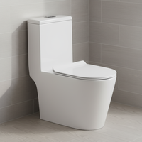 WC moderne 4,5 L monobloc en céramique avec chasse d'eau silencieuse Tornado et conception antigel pour salle de bain