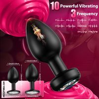 3er-Set Silikon-Analsexspielzeug – Butt-Plug-Trainingskit mit Fernbedienung – Vibrations-Analdildo und Prostata-Massagegerät – Erwachsenen-Sexspielzeug und Spiele