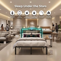 Station de charge LED de haute qualité pour tête de lit, projecteur d'ambiance silencieux et robuste à sept étoiles, cadre en fer pour lit double