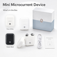 Mini masseur facial à micro-courant 3 niveaux, sondes à double énergie, rechargeable par Type-C, appareil de beauté portable, OEM ODM