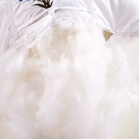 Coussin d'oreiller en velours de plumes super doux pour hôtel et usage domestique, avec housse 100% coton et cœur d'oreiller brodé