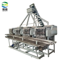 Machine de séchage de noix de cajou industrielle HGX-400 - Fabricant fiable de sécheuses de noix de cajou et approvisionnement direct d'usine
