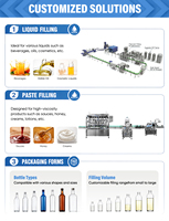 Ligne de remplissage de bouteilles en plastique automatique 3-en-1 en verre de whisky vodka liqueur machine d'embouteillage de jus de vin machine de remplissage d'alcool
