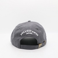 Gorra de Béisbol Deportiva Unisex de Lino y Cáñamo, Bordada Personalizada, de 5 o 6 Paneles, Sin Estructura, con Visera Curva o Plana, para Todas las Temporadas