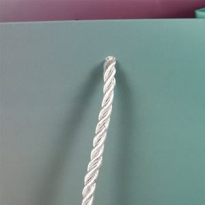 Bolsas de Regalo Crown Win Glitter Package Vip, Bolsas de Papel Kraft Coloridas con Logotipo para Cosméticos, Bolsas de Papel Artesanal Resistentes en Colores Pastel - Product Image 6