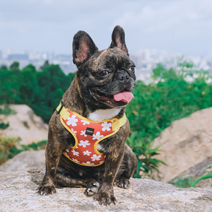 Wholesale <strong>Custom</strong> Made <strong>Dog</strong> Harness Vest Breathable Reflective Small Cat and <strong>Dog</strong> <strong>Leash</strong> Sporty Simple Style with <strong>Print</strong> Rower - Product Image 4