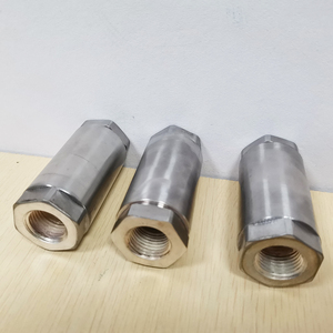 Válvulas de Retención Criogénicas de Elevación Vertical de Acero Inoxidable 304, 4Mpa, DN15, Rosca NPT de 1/2 Pulgada para LO2, LN2, LAr, LNG, LCH - Product Image 2