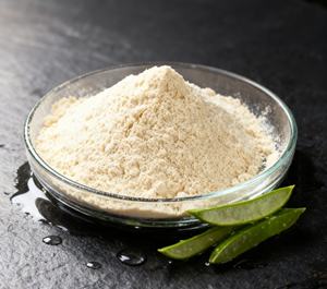 Extracto de aloe vera premium con propiedades calmantes para uso versátil en cuidado de la piel, suplementos y formulaciones a granel. - Product Image 5