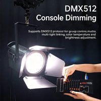 Projecteur de scène Fresnel 200W blanc chaud pour théâtre et studio TV avec options de montage sur pied et suspendu