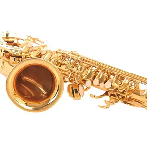 Professional E Flat Tenor Saxophone In Brass With Gold Double Key Rib And Abalone Button Upgraded Instrument
