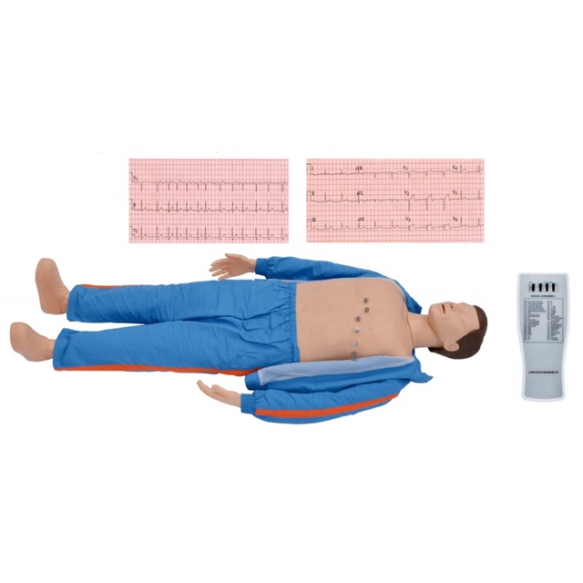 Advanced ECG Training Manikin Medical Mannequin Adult Computerized ECG Simulator