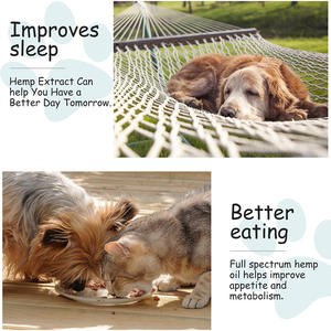 Minyak Hemp Organik Berkualitas Tinggi untuk Anjing dan Kucing, Minyak Perawatan Tubuh Hewan Peliharaan, Minyak Pereda Nyeri Hewan Peliharaan - Product Image 5