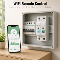 Interrupteur intelligent WiFi industriel 2P en cuivre avec compteur d'énergie MCB 63A, disjoncteur miniature, surveillance kWh, relais temporisé, montage sur rail DIN en plastique