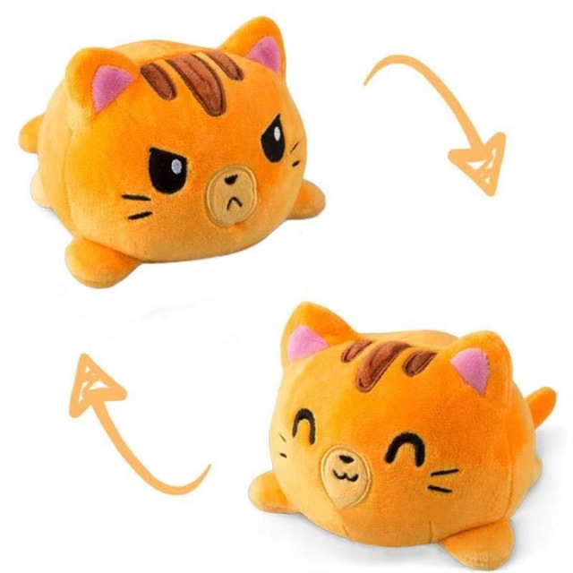 gato naranja