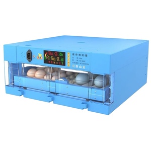 เครื่องฟักไข่อัตโนมัติ WQ-<span class=keywords><strong>64</strong></span> เครื่องฟักไข่ไก่ขนาดเล็ก พร้อมราคาที่ดีที่สุด - Product Image 1
