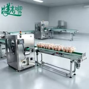 Máquina de Escaneo Visual de Huevos Todo en Uno con Detección de Grietas para Empresas de Empacado de Huevos Grandes - Product Image 2