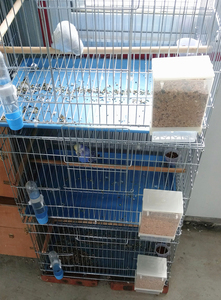 Kuşlar için güvercin papağan otomatik kafes asılı besleyiciler Pet sıçrama geçirmez gıda konteyner - Product Image 5