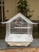 Grande cage à oiseaux en métal, cage à perroquets pour petits oiseaux, cage à oiseaux durable avec bols d'alimentation, plateau amovible, fournisseur en gros