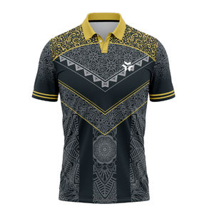 Fabricant de maillots de cricket, uniformes personnalisés pour clubs et équipes, tissu haute performance, séchage rapide de haute qualité, logo personnalisé - Product Image 1