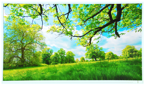 Pantalla LCD Original Samsung LTM230HT11 de 23 Pulgadas, 1920x1080 FHD LVDS de 30 Pines y 75 Hz para Reemplazo de Monitor HP ProDisplay P232 - Product Image 2