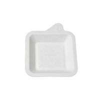 Assiette en papier rectangulaire jetable écologique gratuite, plateau en pulpe de canne à sucre pour le camping, vente en gros d'assiettes en bagasse