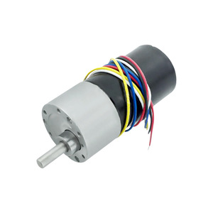 Motor sin Escobillas de 42 mm, 1500 rpm, 36 V, Montaje con Brida, Imán Permanente, Motor de CC Totalmente Cerrado - Product Image 1