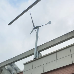 Generador de turbina eólica de 2000W 3000W 24/48/96v, cabañas, casas privadas, oficinas, instalaciones en la carretera, W - Product Image 5