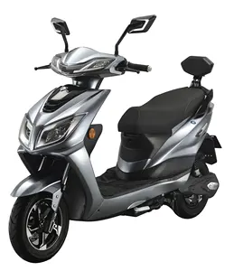 48V 1000W Electric Adult motorcycle with EEC
