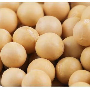 Bulk Yellow High <strong>Protein</strong> Dried Soybeans Human <strong>Food</strong> <strong>Grade</strong> Competitive Price - Product Image 1