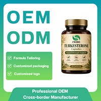 Capsules de Turkesterone de Haute Qualité, Formule Végétale pour la Performance avec Ecdystérone, Fournisseur OEM de Capsules de Turkesterone