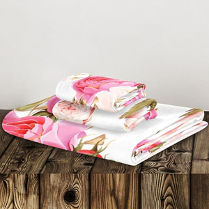 Microfibre légère Portable doux pour la peau beau cadeau séchage rapide marque privée extra large ensembles <span class=keywords><strong>de</strong></span> serviettes <span class=keywords><strong>de</strong></span> plage anti-<span class=keywords><strong>sable</strong></span> - Product Image 4