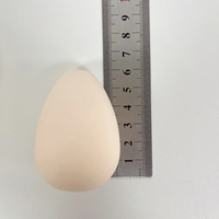 NOUVEAU Mélangeur d'éponge de maquillage de beauté pour le visage éponge de maquillage de poudre avec texture fine ultra douce avec cylindre