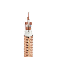 Cable Flexible Resistente al Fuego con Aislamiento Mineral de Cu/MgO, Núcleo de Cobre, Construcción Segura, Transmisión de Energía Estable