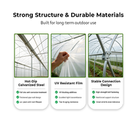 Kits de serres tunnel agricoles à faible coût pour la culture de tomates et de fraises, avec structure en acier galvanisé à chaud et film PE