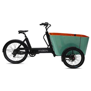 3 גלגל חשמלי מטען אופני המשמש למבוגרים/מטען אופניים/תלת אופן/trike