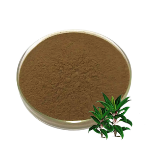 สารสกัดจาก <span class=keywords><strong>labisia</strong></span> ผง kacip Fatimah - Product Image 1