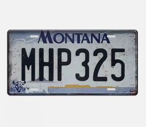 Cartel de chapa de metal vintage personalizado de 15x30cm, placa de matrícula de coche, arte de pared, decoración de motocicleta, placa de matrícula de garaje, carteles de chapa al por mayor - Product Image 2