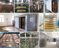Commerciële Automatische Elektrische Warmtepomp Droger Droogmachine Kruiden Noedels Thee Fruit Fish Chips