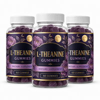 Gummies de L-Théanine Marque Blanche OEM Saveur Personnalisée 60 Unités Complément Alimentaire Bien-être Quotidien Vente en Gros Fabricant