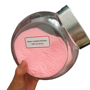 <span class=keywords><strong>Engrais</strong></span> hydrosoluble NPK 19-19-19 pour l'agriculture - Product Image 4