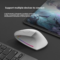 Souris optique sans fil, design ergonomique vertical, fonctionnement silencieux rechargeable, double mode USB, 6 boutons pour ordinateurs portables, bureaux