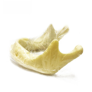 Modelo de mandíbula <span class=keywords><strong>humana</strong></span> para implantes, modelo dental de hueso inferior para práctica de perforación en la escuela de medicina, clase de medicina oral, CE/ISO - Product Image 5